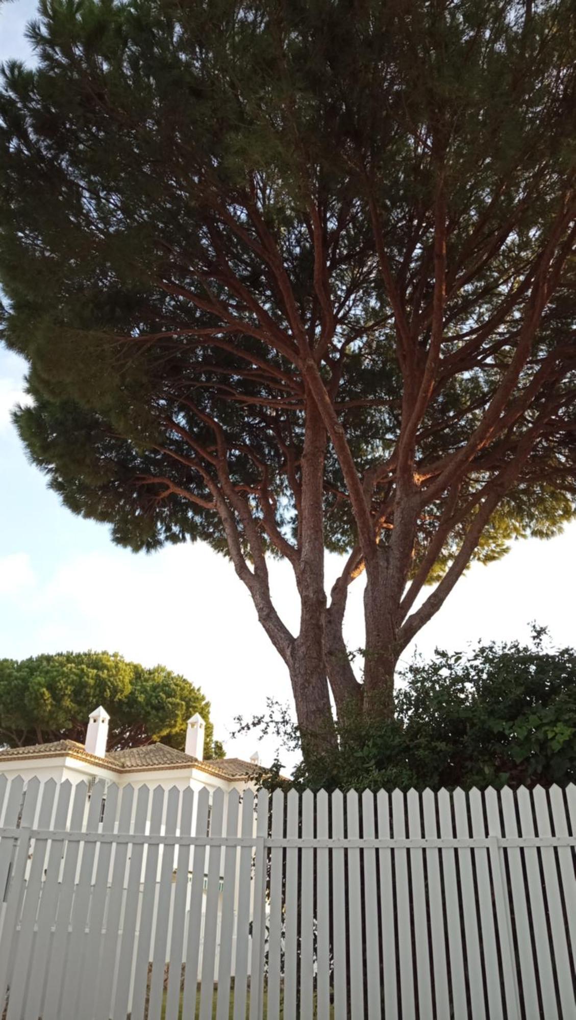 Apartamento La Barrosa - Chiclana - Urb. Pinar Atlantico Чиклана де ла Фронтера Екстериор снимка